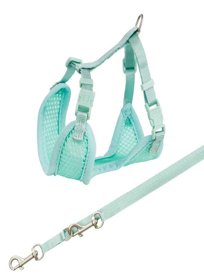 Trixie Junior Puppy Soft Harness with Leash, S-M: 26-34 cm/10 Mm, 2.00 M, Mint - Image 1